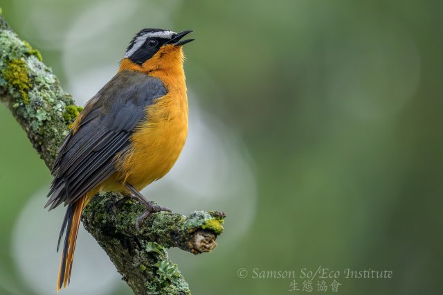 dcf-travel-img-52704