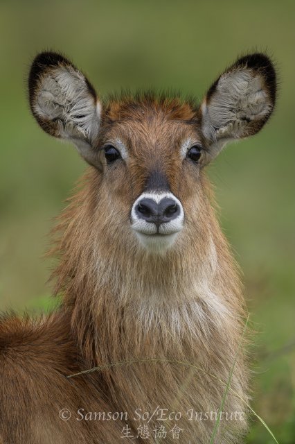 dcf-travel-img-52705