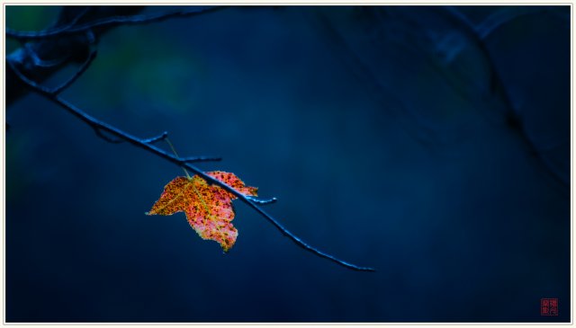 dcf-travel-img-52523