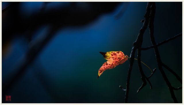 dcf-travel-img-52522