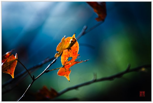 dcf-travel-img-52524