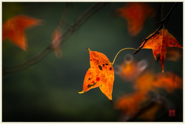 dcf-travel-img-52526