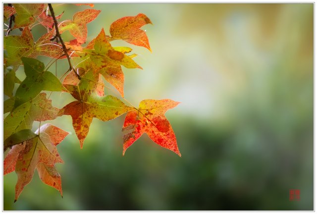 dcf-travel-img-52528