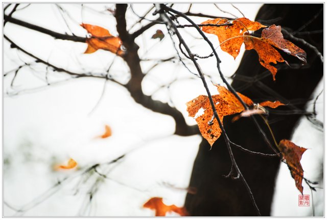 dcf-travel-img-52532