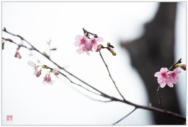 dcf-travel-img-52706