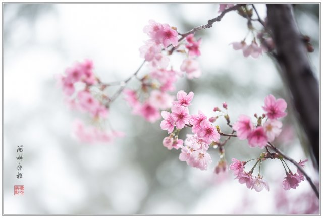 dcf-travel-img-52709