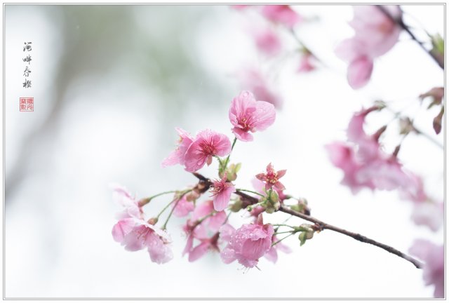 dcf-travel-img-52707