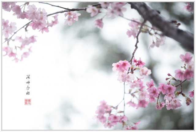 dcf-travel-img-52708