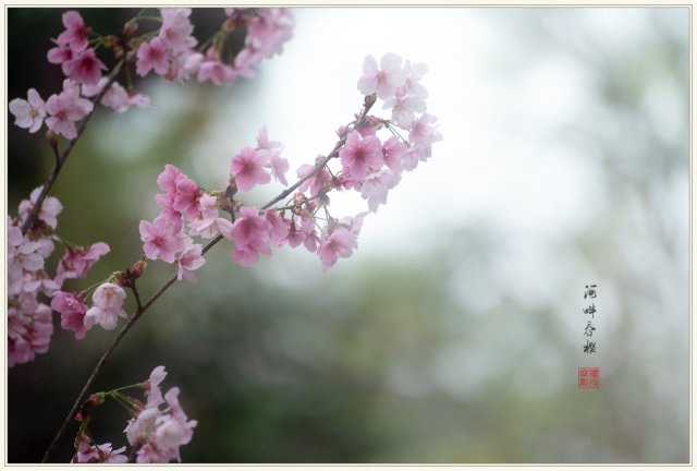 dcf-travel-img-52710