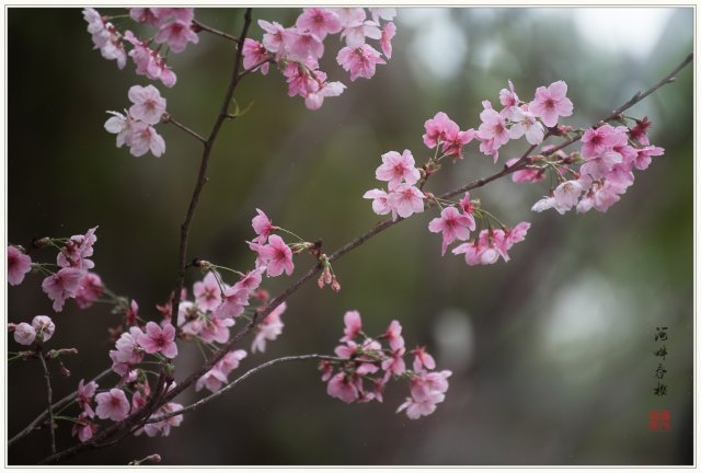 dcf-travel-img-52711