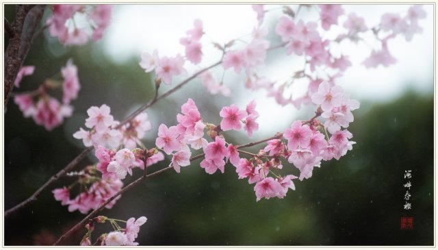 dcf-travel-img-52712