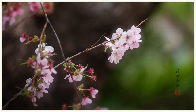 dcf-travel-img-52713