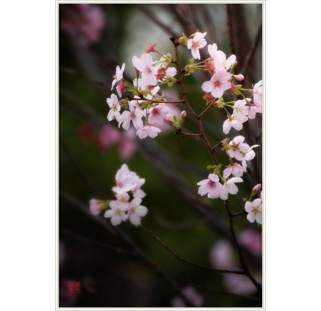 dcf-travel-img-52714