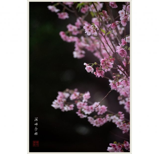 dcf-travel-img-52715