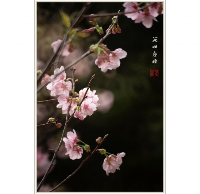 dcf-travel-img-52716