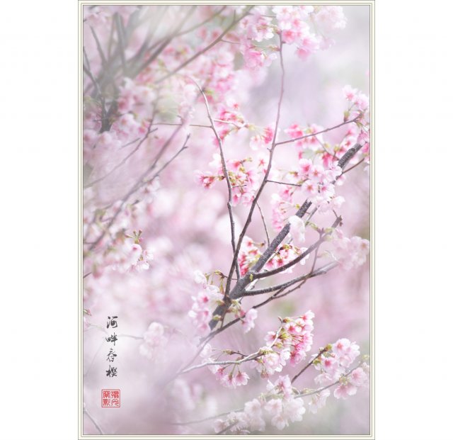 dcf-travel-img-52717