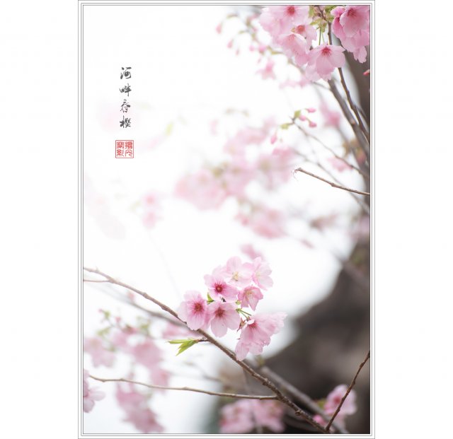 dcf-travel-img-52718