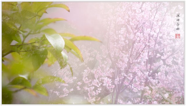 dcf-travel-img-52720