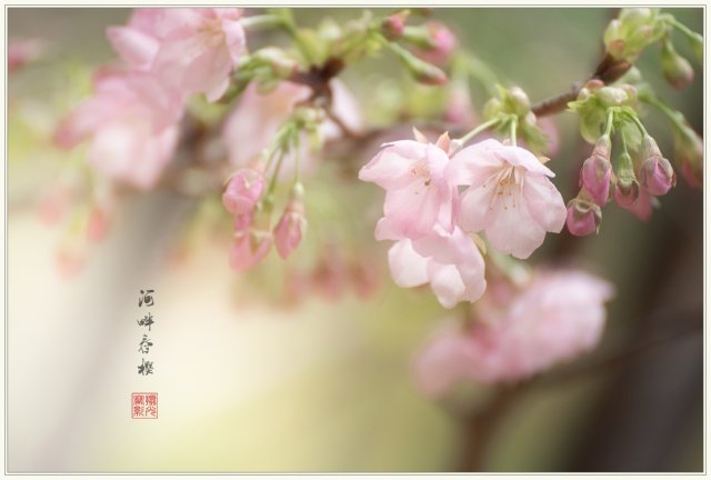 dcf-travel-img-52721