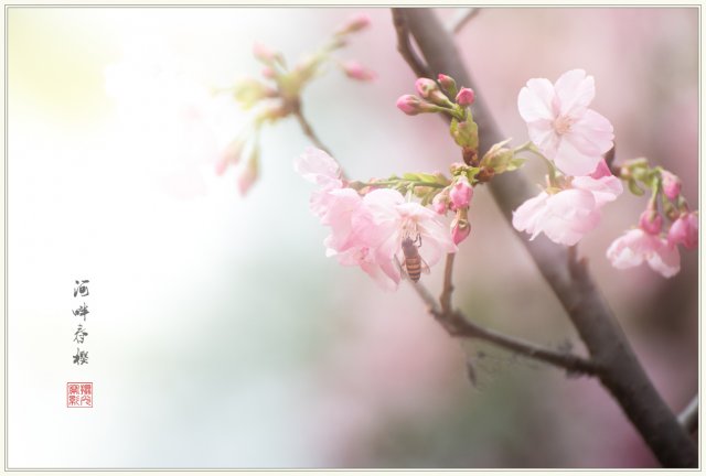 dcf-travel-img-52723