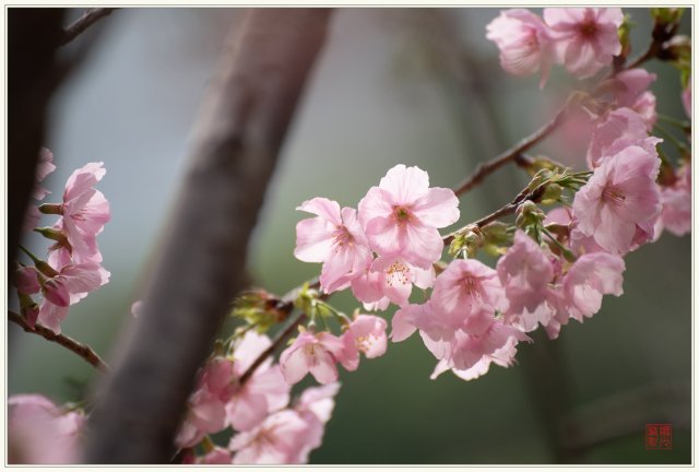 dcf-travel-img-52724