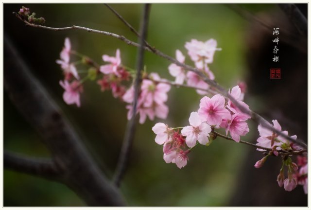 dcf-travel-img-52728