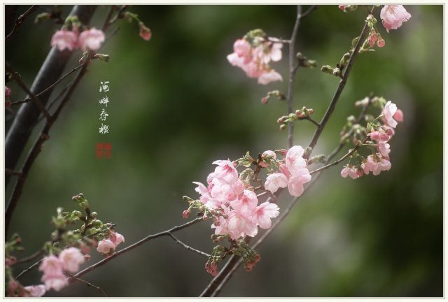 dcf-travel-img-52727