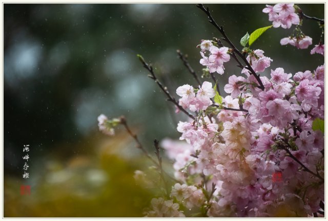 dcf-travel-img-52731