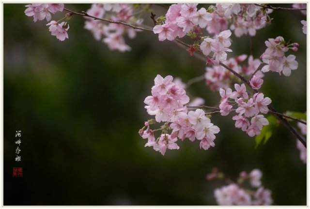 dcf-travel-img-52730