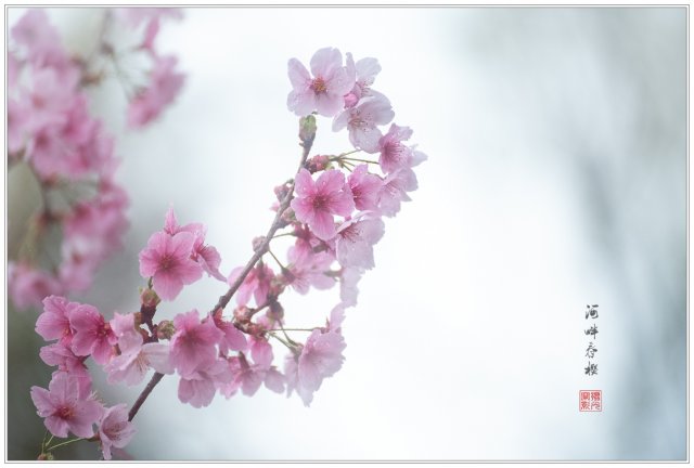 dcf-travel-img-52732