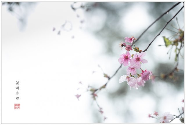 dcf-travel-img-52733