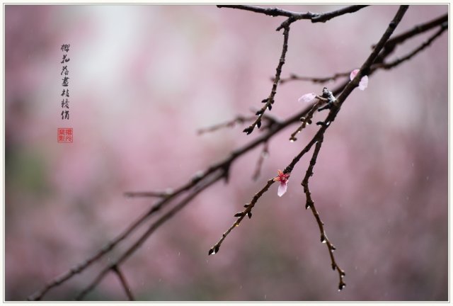 dcf-travel-img-52734