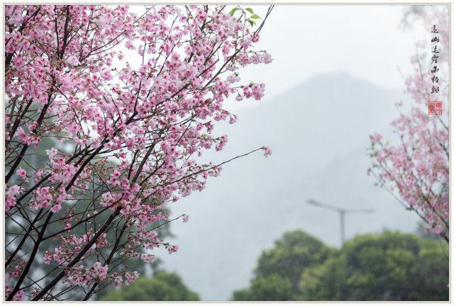 dcf-travel-img-52735