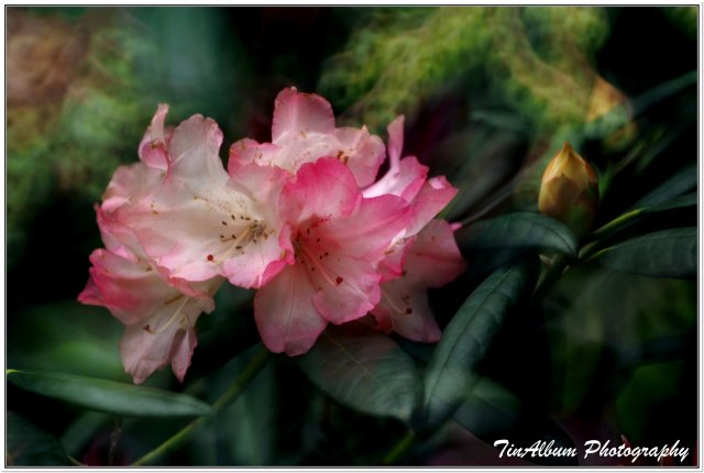 dcf-travel-img-52211