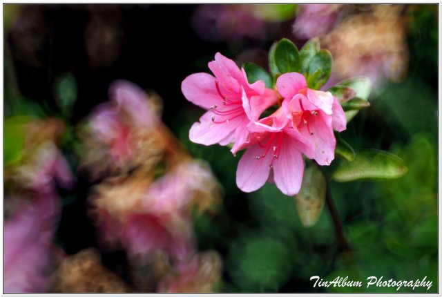 dcf-travel-img-52212