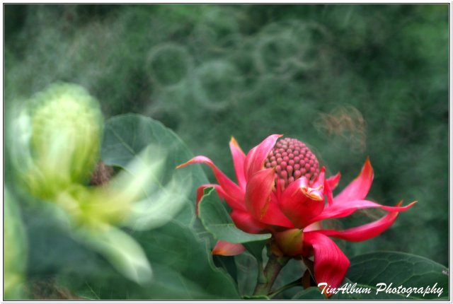 dcf-travel-img-52213