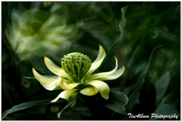 dcf-travel-img-52214