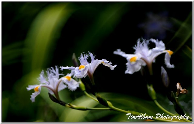 dcf-travel-img-52215