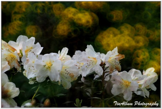 dcf-travel-img-52216