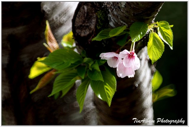 dcf-travel-img-52218