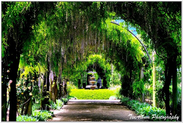 dcf-travel-img-52289