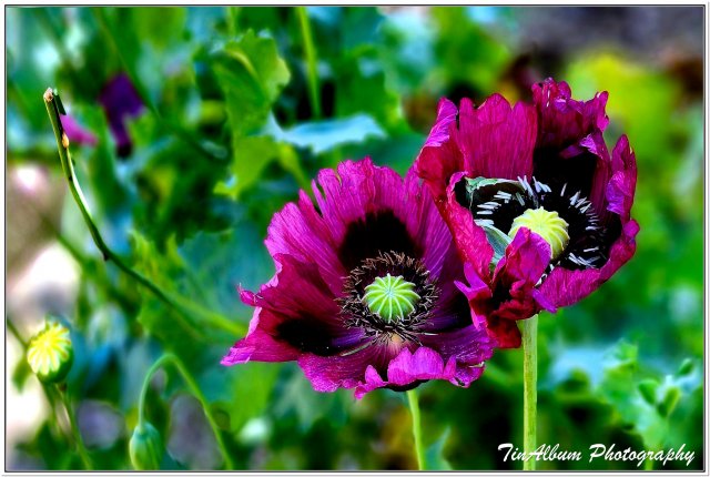 dcf-travel-img-52290