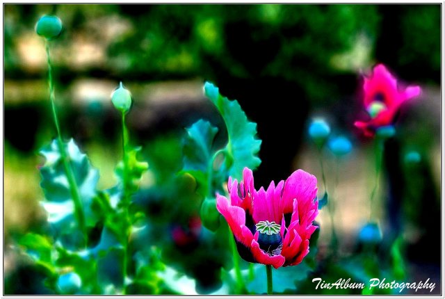 dcf-travel-img-52292