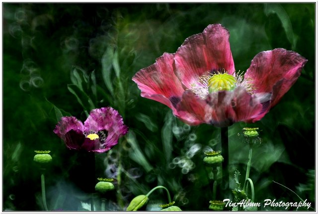 dcf-travel-img-52303