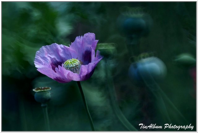 dcf-travel-img-52305