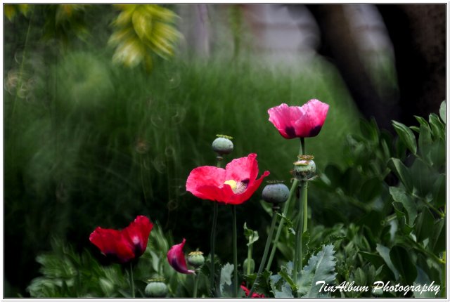 dcf-travel-img-52306