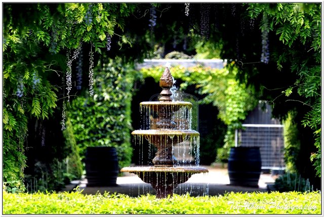 dcf-travel-img-52307