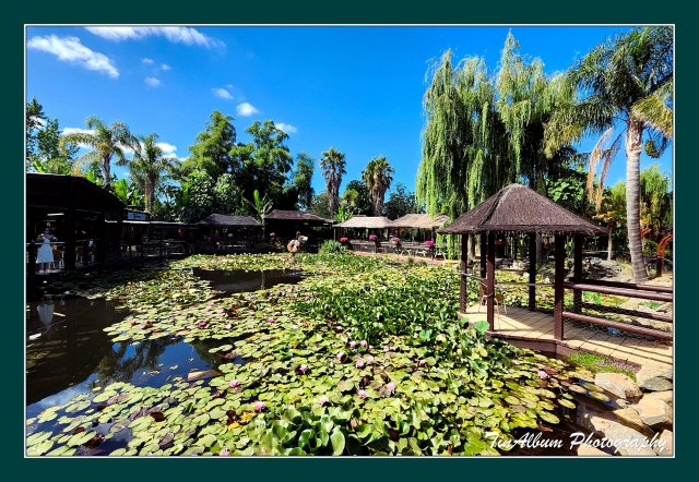 dcf-travel-img-52598