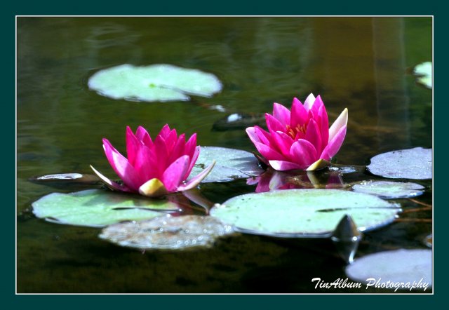 dcf-travel-img-52599