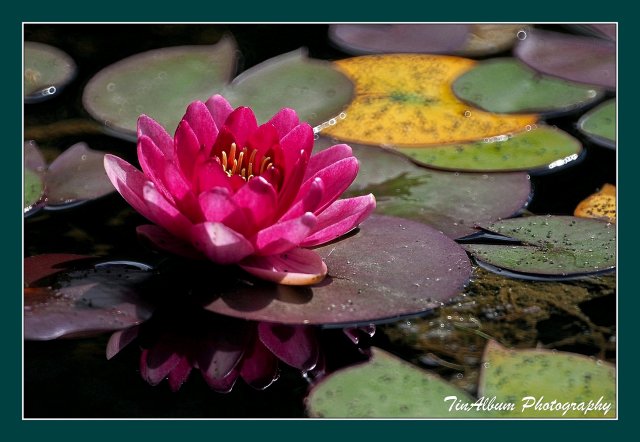 dcf-travel-img-52600